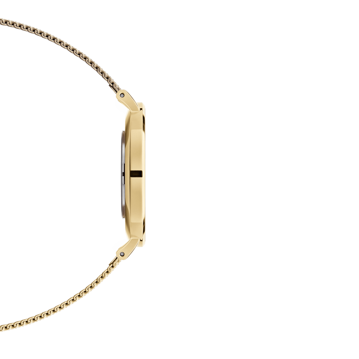 Petite Evergold Blackのサイドビューです。ゴールドケースの薄さとメッシュストラップの細やかな編み目が際立ち、袖口にすっきりと収まるスリムなプロポーションがお分かりいただけます。