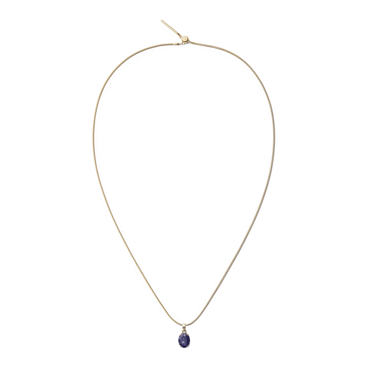 Daniel Wellingtonのゴールドチャームチェーンネックレスに、Blue Spot Oval Goldチャームをセットした全体のイメージです。細身のスネークチェーンの先端に、藍色のブルージャスパーが一粒揺れるシンプルなデザインとなっています。