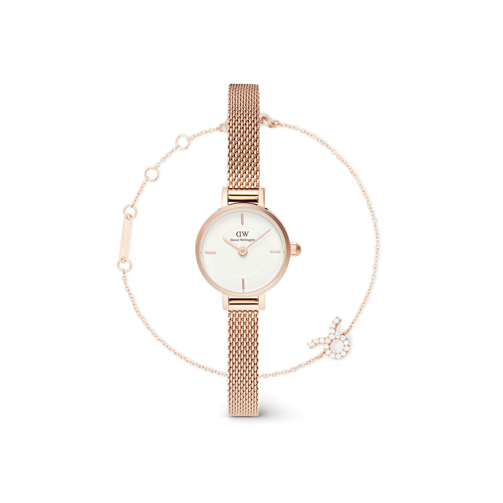 Danielwellington SET 中古✨ Petite Mini & Zodiac Bracelet Rose Gold Set