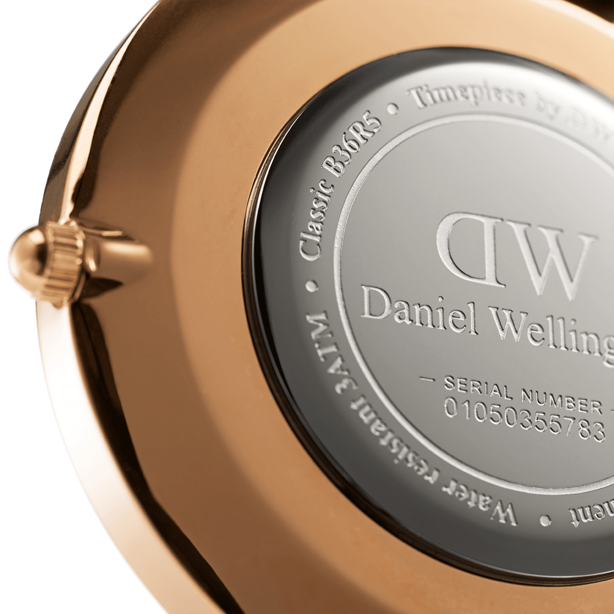 Classic Winchester Rose Goldのケース裏蓋を拡大した画像です。Daniel Wellingtonのロゴやシリアルナンバー、3ATM防水表記が刻印されたステンレススチール製の裏蓋と、ローズゴールドPVDメッキのケース側面やリューズの細部まで確認できます。
