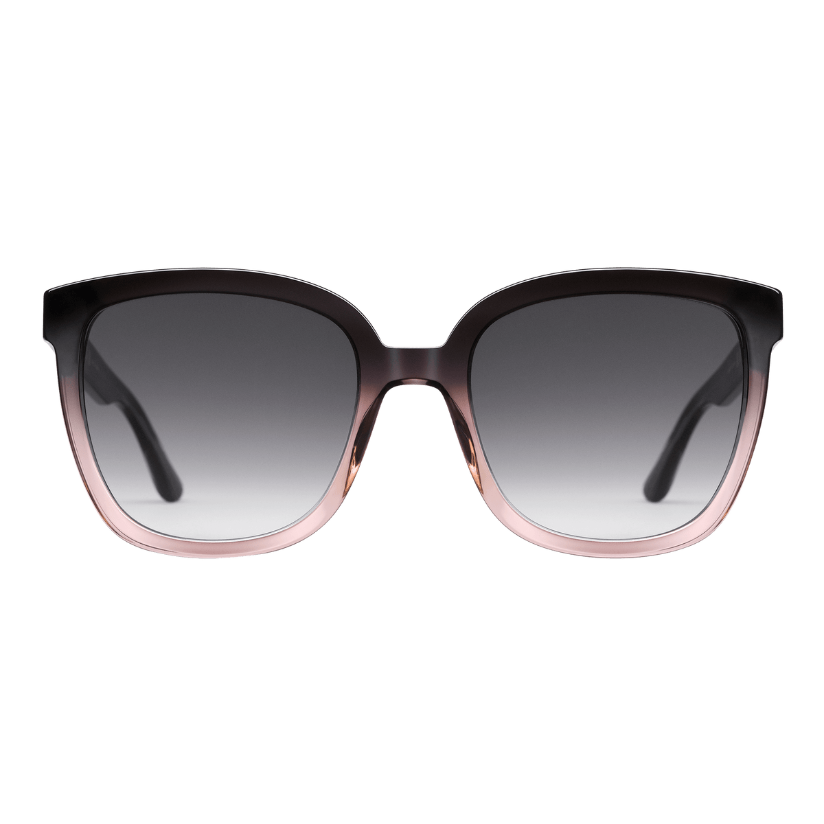 Daniel WellingtonのGrande Bio-Acetateサングラスの正面画像です。ダークブルーからコーラルピンクへと変化するグラデーションフレームに、ブラックのグラデーションレンズを組み合わせた、オーバーサイズのスクエアデザインです。