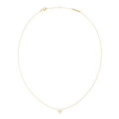 ダニエルウェリントン Mirelle Star Necklace Goldの全体像です。極細のゴールドチェーンの中央に、クリスタルをあしらった小さな星型のペンダントが配されています。ロブスタークラスプとブランド刻印のプレートも確認できます。