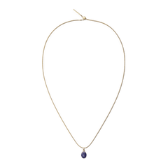 Daniel Wellingtonのゴールドチャームチェーンネックレスに、Blue Spot Oval Goldチャームをセットした全体のイメージです。細身のスネークチェーンの先端に、藍色のブルージャスパーが一粒揺れるシンプルなデザインとなっています。