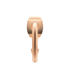 ダニエルウェリントン Charms Earrings Rose Goldを正面から捉えた画像です。バタフライバックの留め具を通してフープのポスト部分が伸びる構図で、ピアスのコンパクトなサイズ感とローズゴールドの上品な輝きが際立ちます。