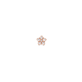 Daniel Wellington Crystal Star Stud Rose Goldの正面アップ画像。星型のローズゴールドフレームに6粒のキュービックジルコニアがあしらわれた、控えめなサイズのスタッドピアスです。