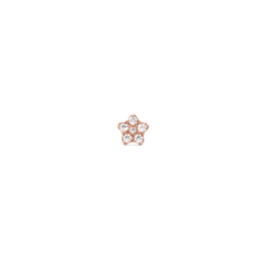 Daniel Wellington Crystal Star Stud Rose Goldの正面アップ画像。星型のローズゴールドフレームに6粒のキュービックジルコニアがあしらわれた、控えめなサイズのスタッドピアスです。