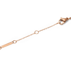 オードリーネックレス ブラックアガート ローズゴールドのチェーン留め具部分のディテールです。ローズゴールドのロブスタークラスプとアジャスターチェーン、Daniel Wellingtonの刻印が入ったブランドプレートが確認できます。