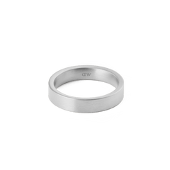 Line Ring Brushed Silverをやや上方から撮影した画像です。フラットバンドのブラッシュド仕上げによる均一なマットシルバーの質感と、リング内側に小さく刻印されたDaniel Wellingtonのロゴが確認できます。