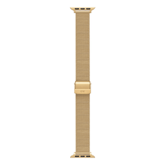 Daniel Wellington Smartwatch Strap Mesh Goldを伸ばした状態で撮影した画像です。Apple Watch用のゴールドカラーのメッシュストラップが縦に配置されており、上下のラグ部分や中央のロゴ入りバックルのディテール、均一に織り上げられたメッシュの全体像が確認できます。