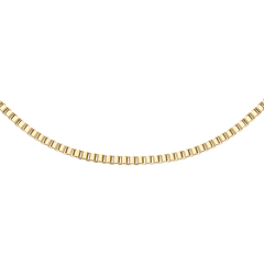 Daniel Wellington Box Chain Necklaceのチェーン部分をクローズアップ。四角いコマが規則的に連なるゴールドのボックスチェーンが、光を受けて繊細に輝いています。