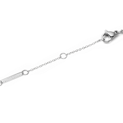 Audrey Necklace Black Agathe Silverの留め具部分を拡大した写真です。ロブスタークラスプと長さ調節用のアジャスターチェーン、Daniel Wellingtonのブランド名が刻印されたシルバーカラープレートがご確認いただけます。