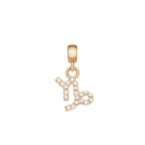 山羊座のシンボルをモチーフにしたCrystal Zodiac Charm Gold。曲線と直線を組み合わせたデザイン全体にキュービックジルコニアがあしらわれ、ゴールドのベイル部分から吊り下がるチャームです。