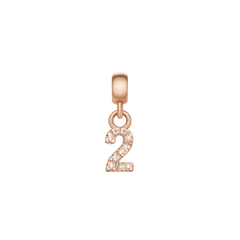Daniel WellingtonのCrystal Number Charm Rose Goldは、数字の「2」をモチーフにしたデザインです。丸みを帯びた台座部分に、キュービックジルコニアが数字の曲線や直線に沿って配置され、ローズゴールドの優しい輝きと調和しています。