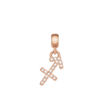 いて座のシンボルをクリスタルで表現したDaniel WellingtonのCrystal Zodiac Charm（ローズゴールドモデル）。矢のモチーフに沿って丁寧にセッティングされたクリスタルが、光を受けて美しく輝きます。