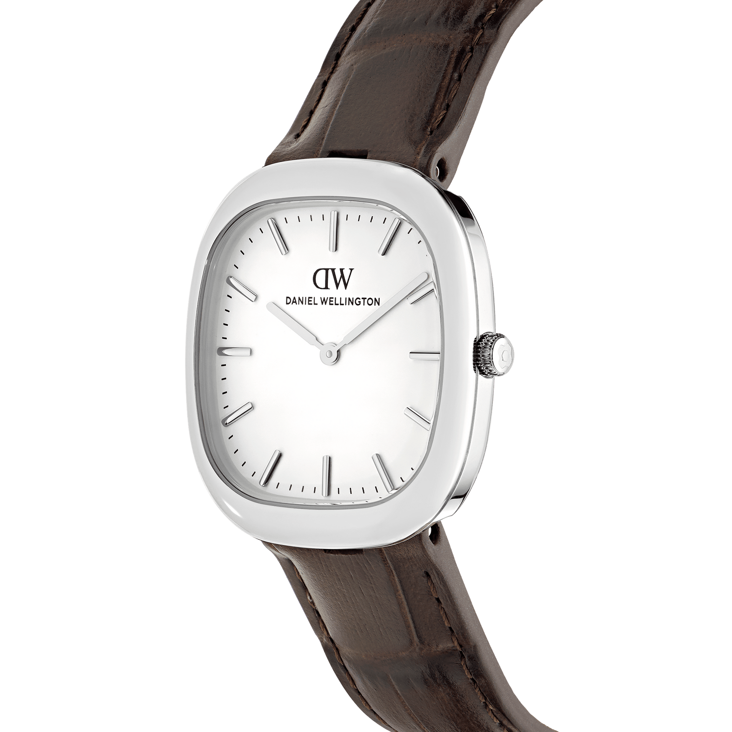 Cort Brown Leather Silver