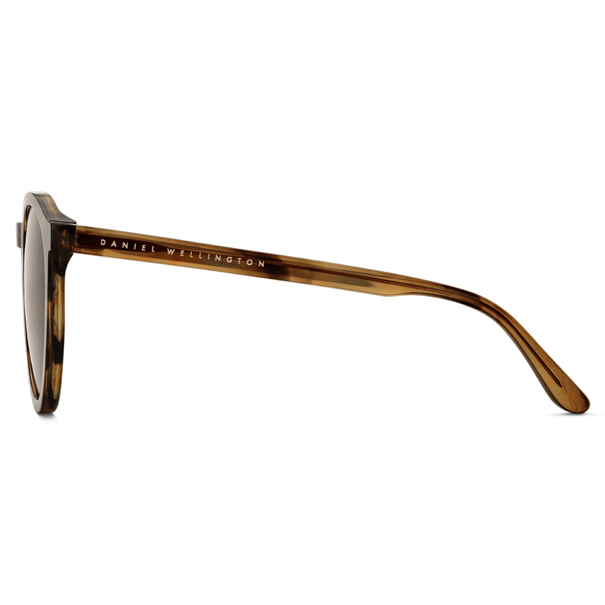 Arch Acetate Men's sunglasses Brown DW – Daniel Wellington Japan
