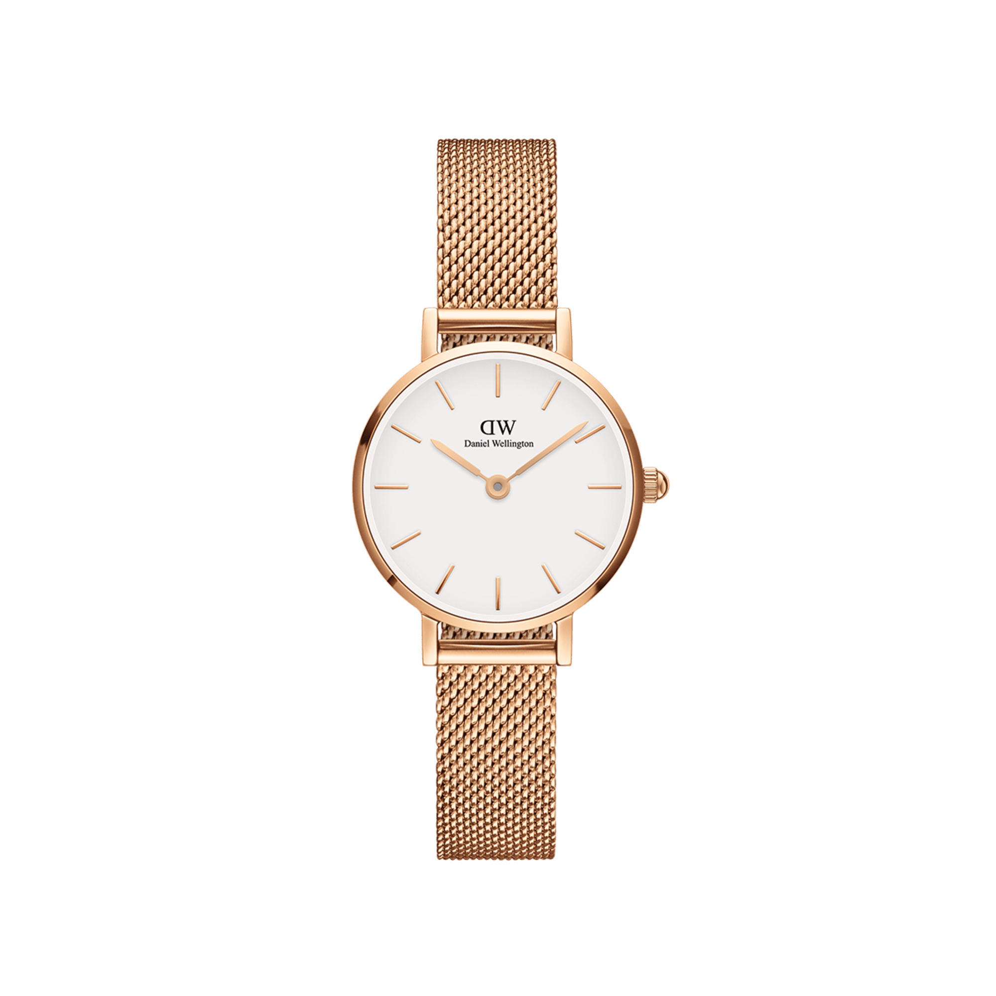 Petite Melrose Women's watch in Rose Gold  White| DW