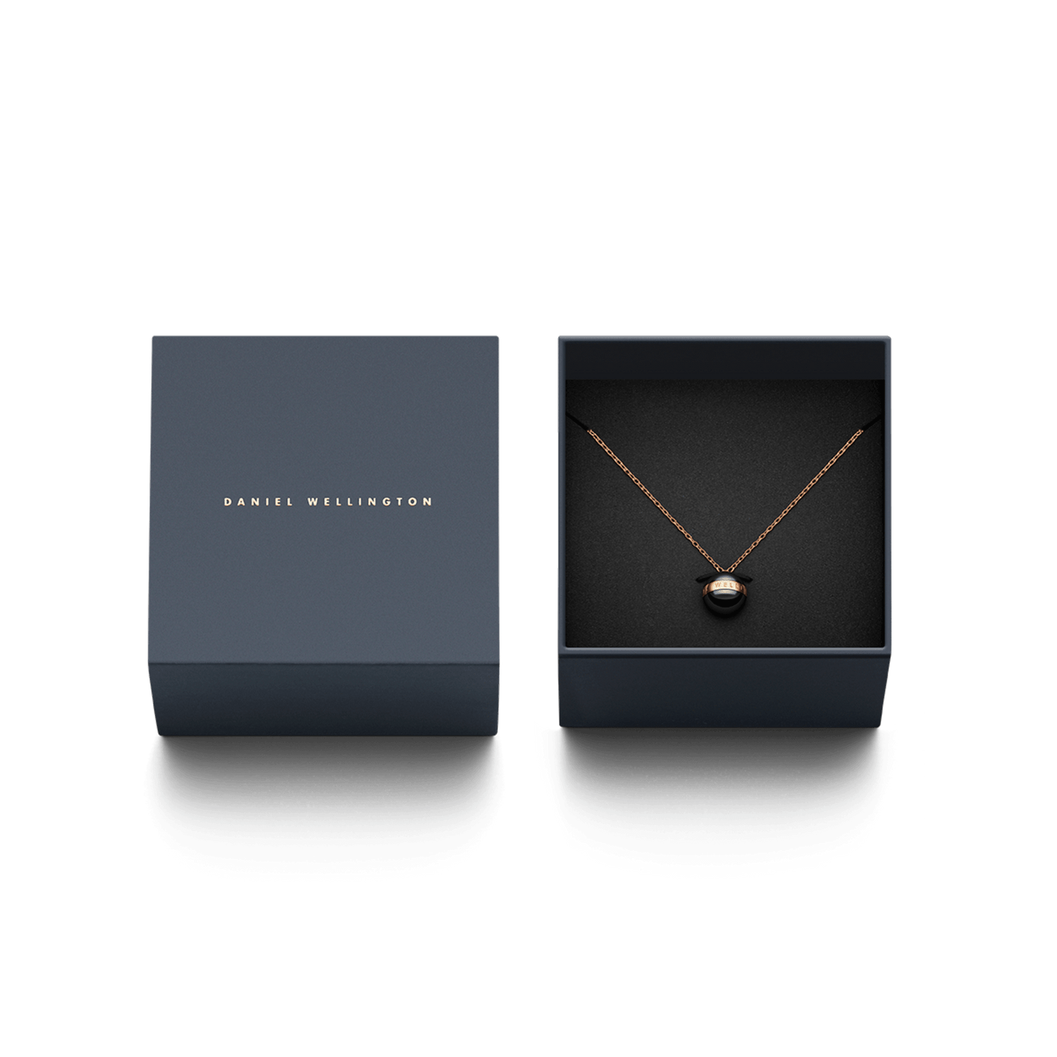 Aspiration Necklace – Daniel Wellington