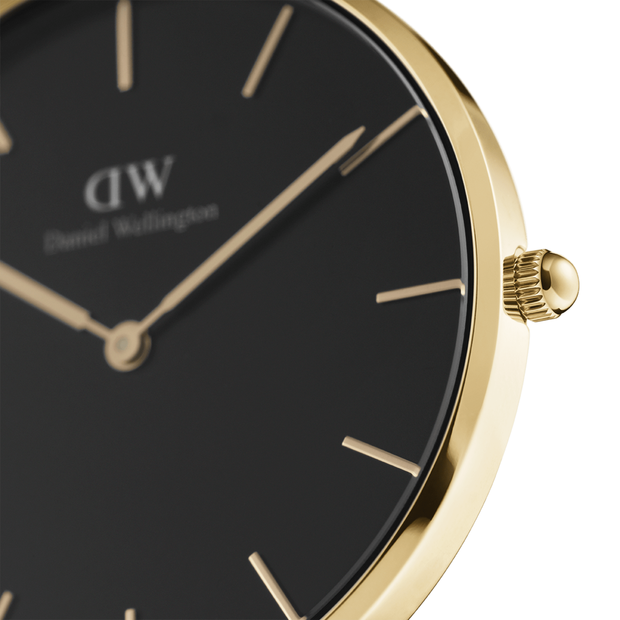 Petite Evergold – Daniel Wellington