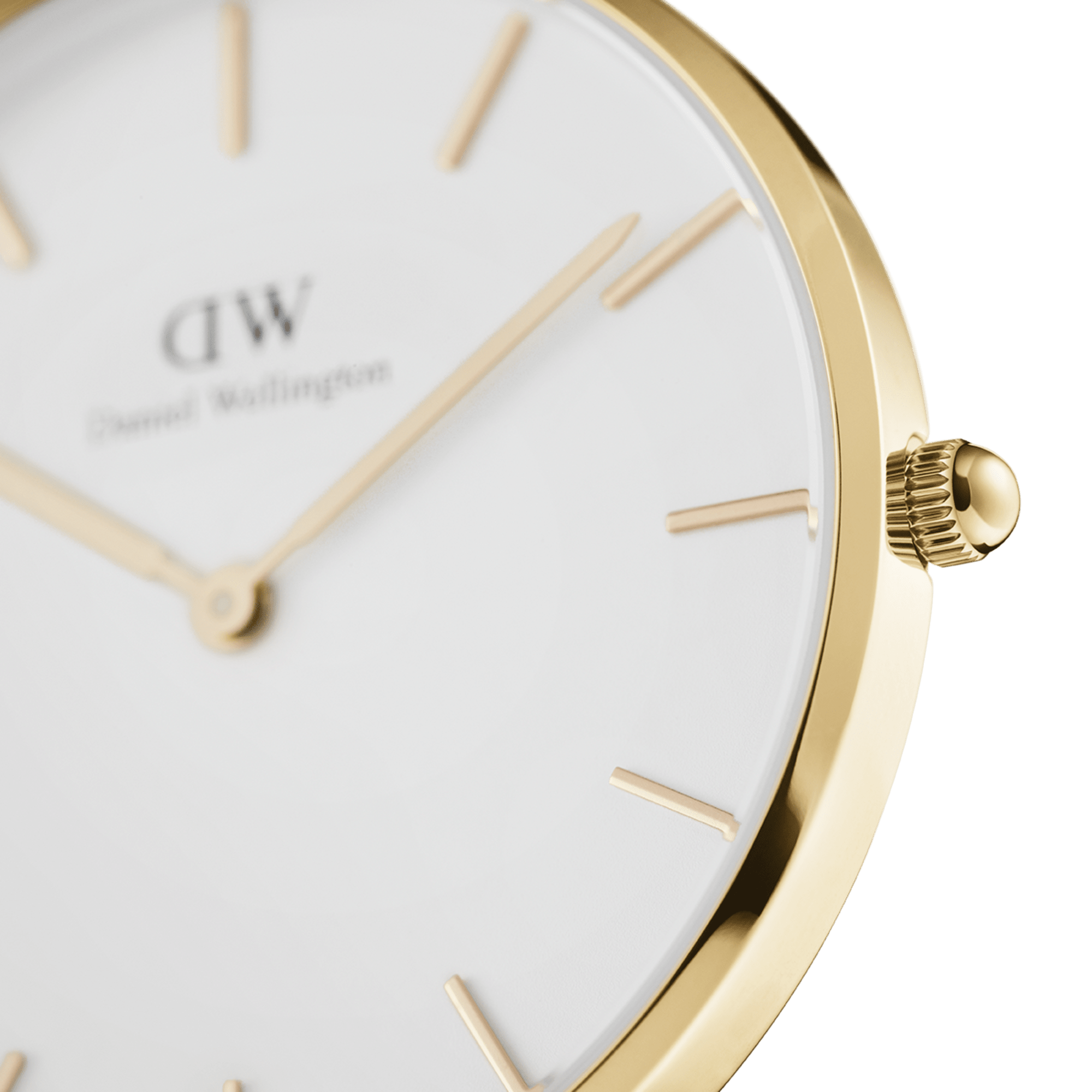 Petite Evergold – Daniel Wellington